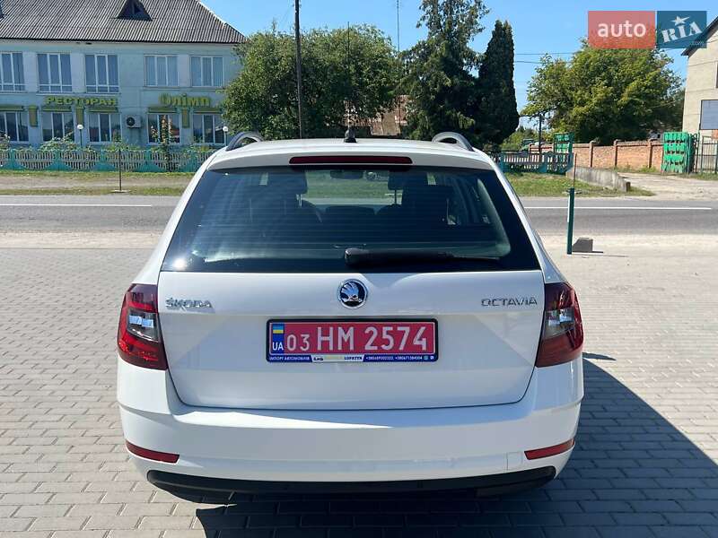 Універсал Skoda Octavia 2020 в Радехові