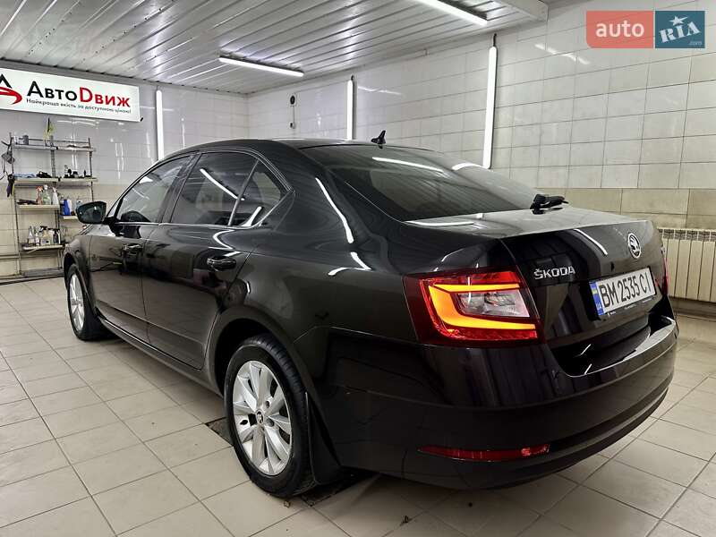 Лифтбек Skoda Octavia 2020 в Сумах фото 16 Лифтбек Skoda Octavia 2020 в Сумах