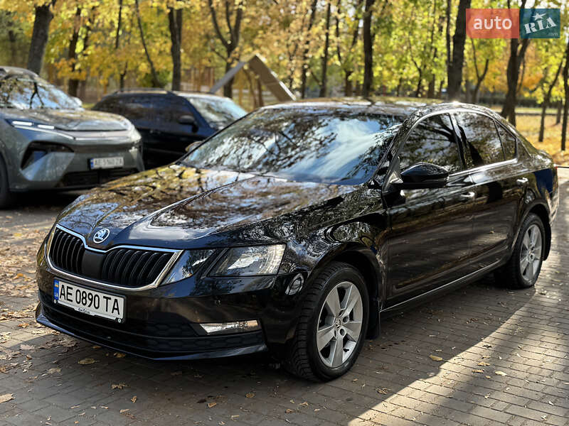 Лифтбек Skoda Octavia 2019 в Днепре фото 16 Лифтбек Skoda Octavia 2019 в Днепре