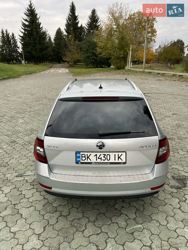 Универсал Skoda Octavia 2019 в Дубно
