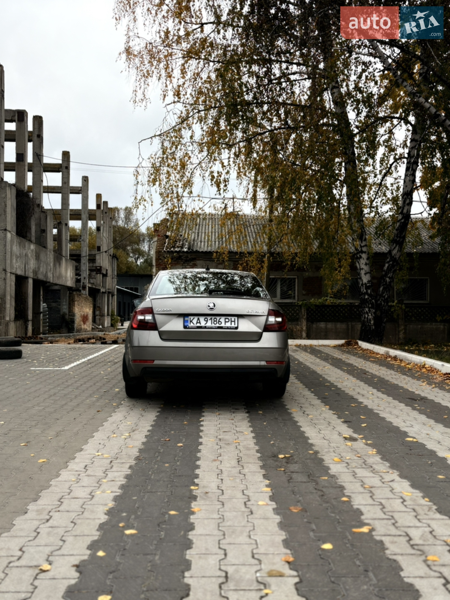 2019 Skoda Octavia - мініатюра 16