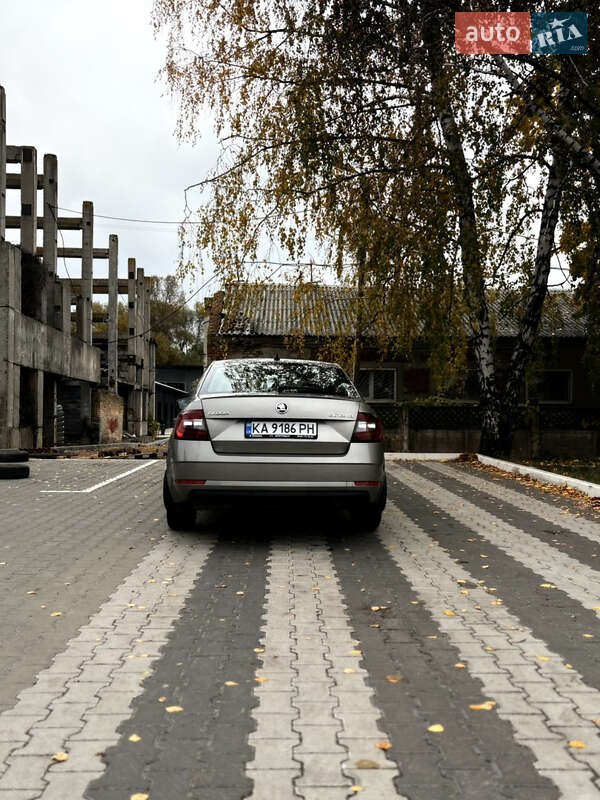 Лифтбек Skoda Octavia 2019 в Киеве фото 16 Лифтбек Skoda Octavia 2019 в Киеве