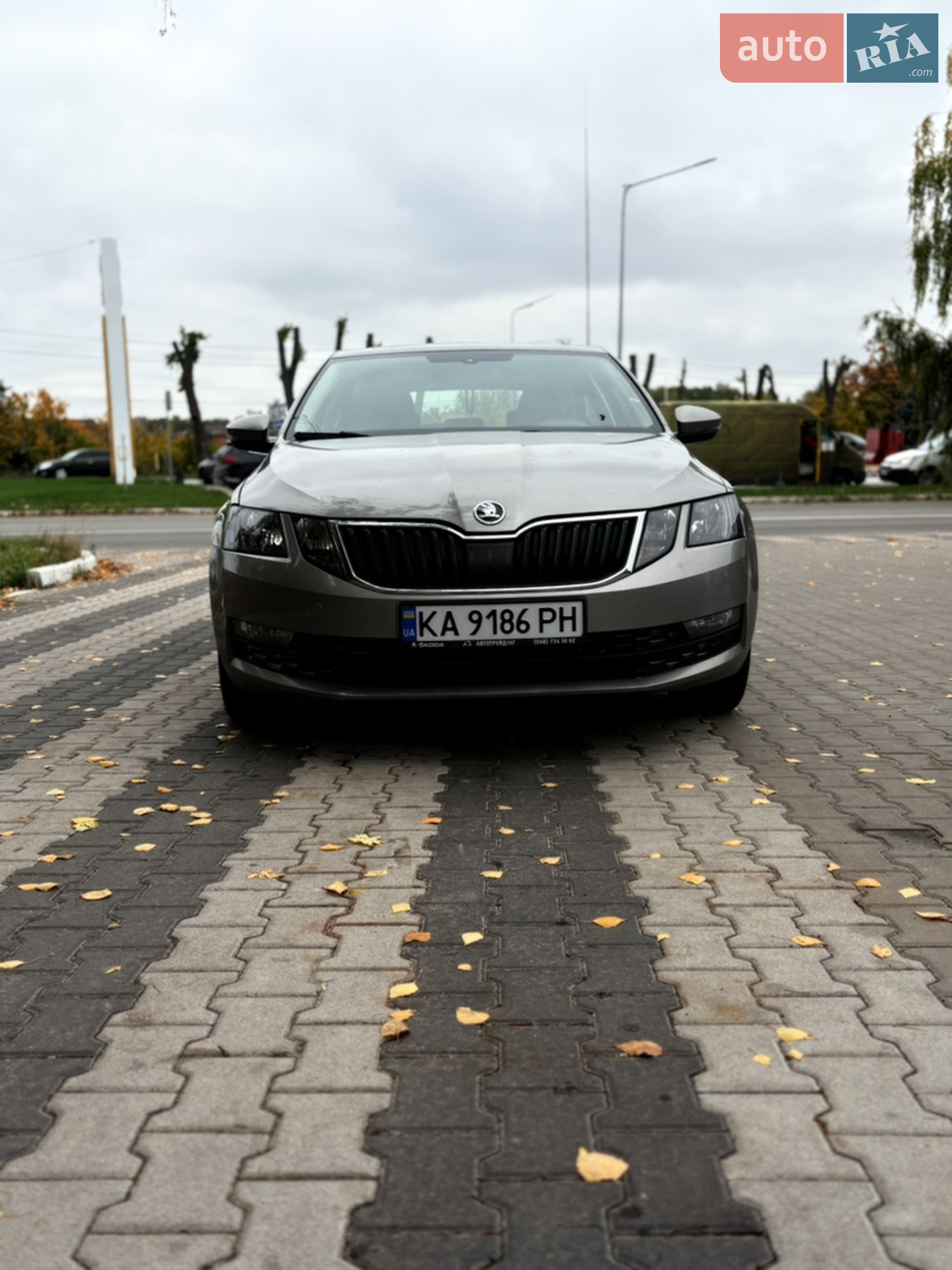 2019 Skoda Octavia - мініатюра 18