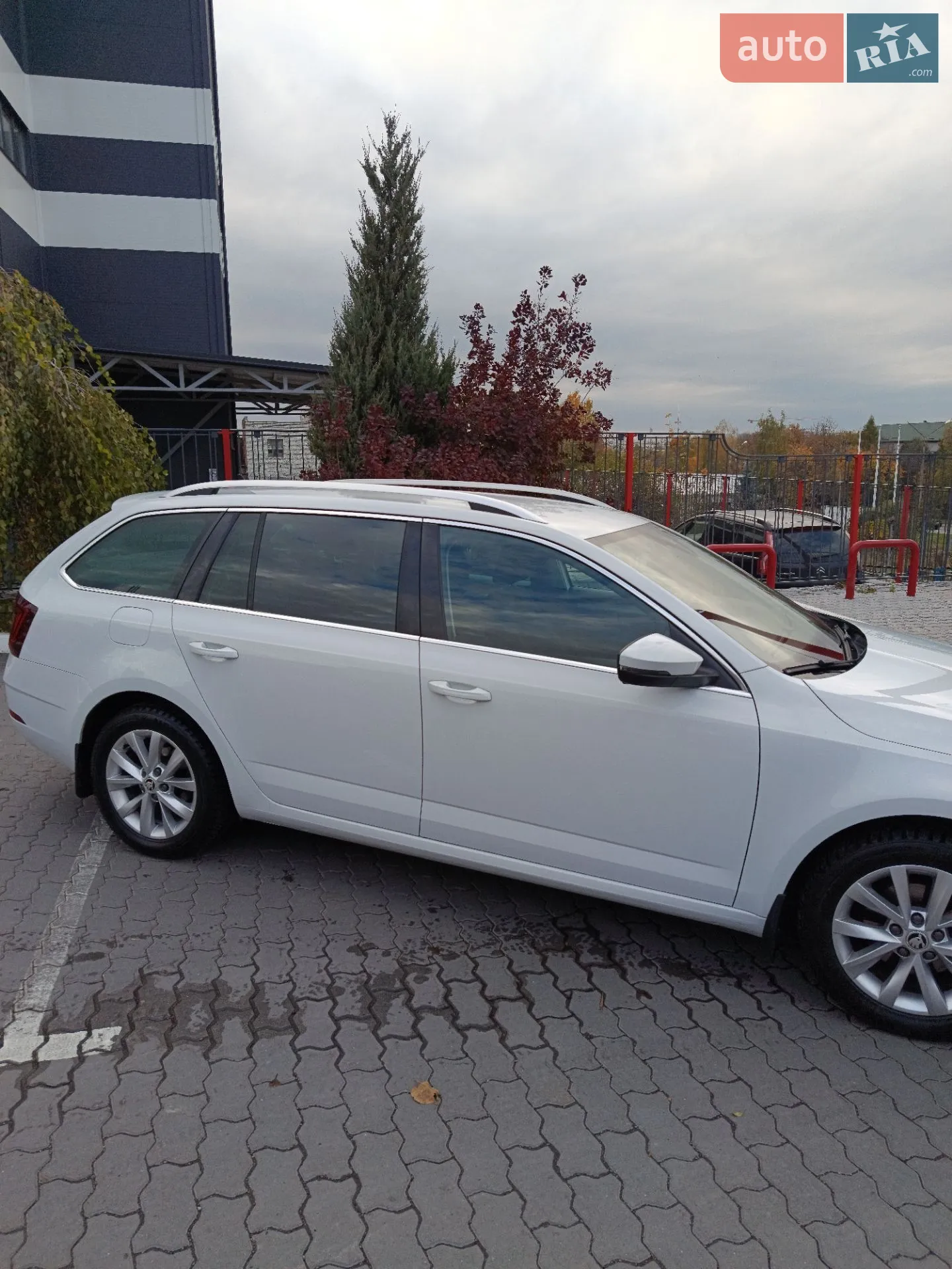 2017 Skoda Octavia - мініатюра 8