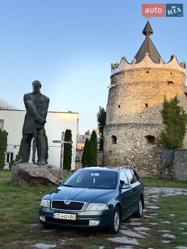 Універсал Skoda Octavia 2007 в Летичіві