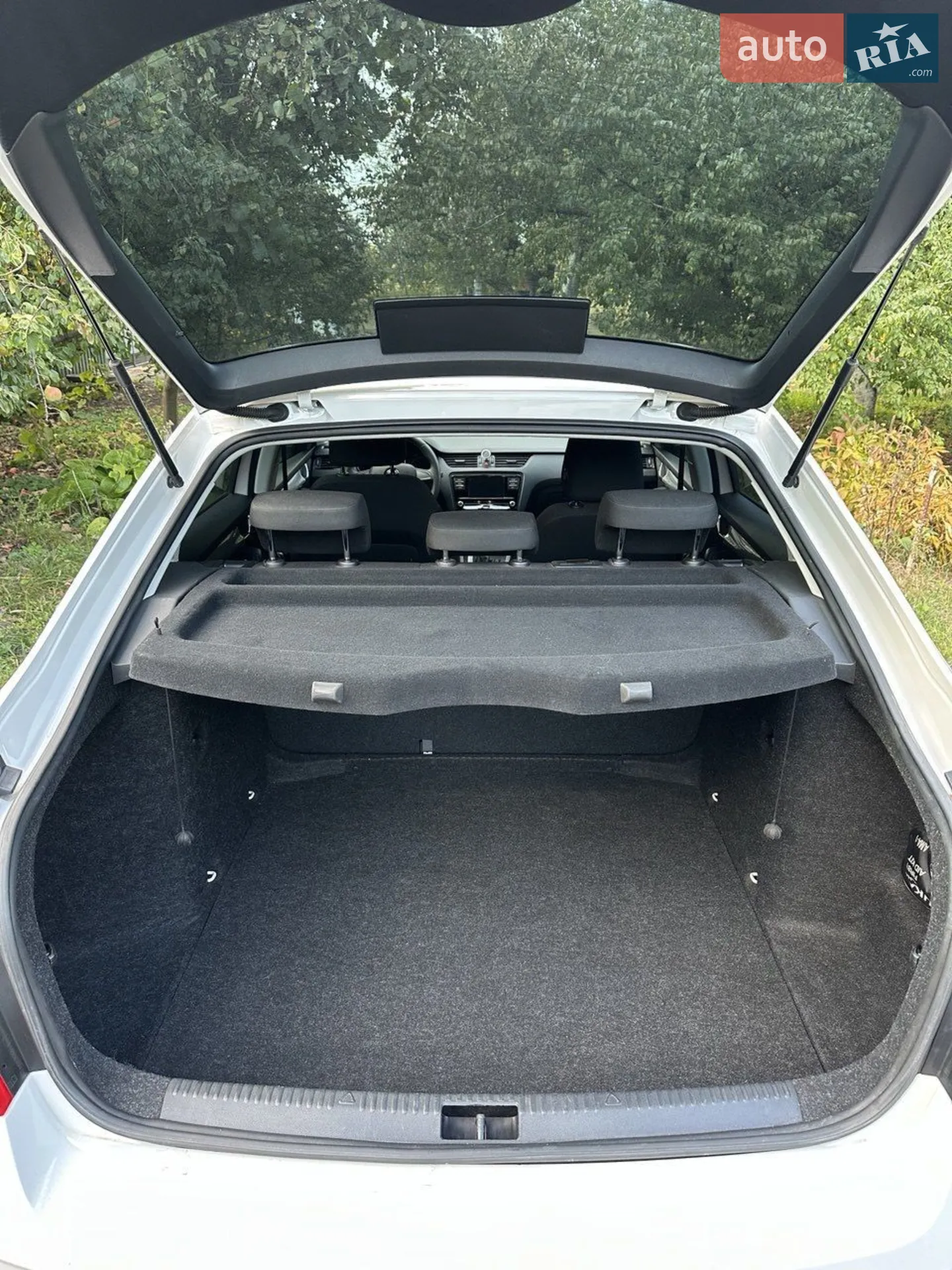 2018 Skoda Octavia - мініатюра 4