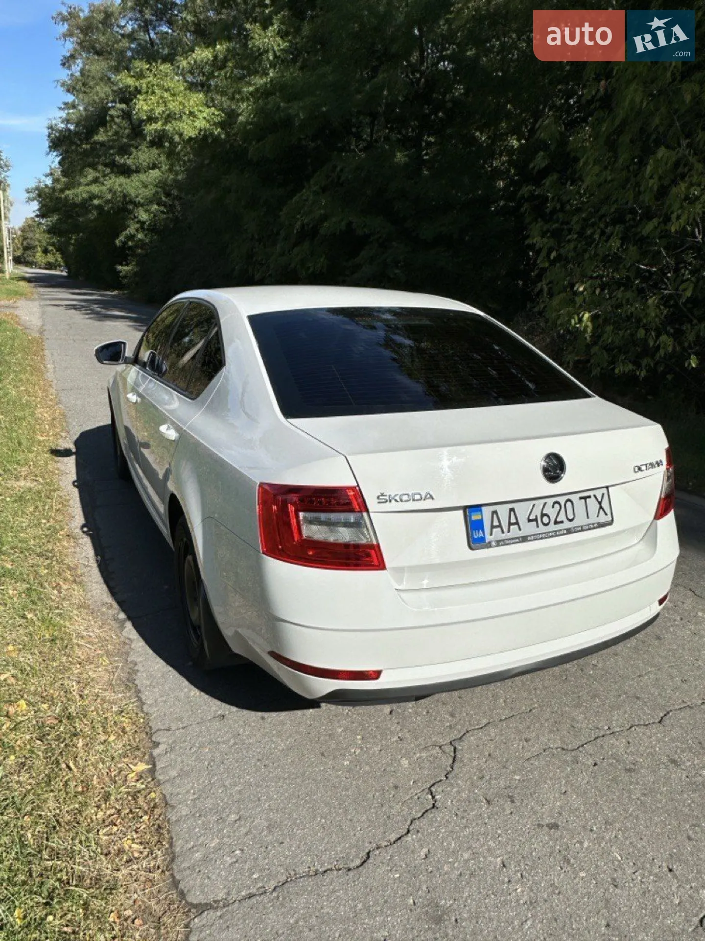 2018 Skoda Octavia - мініатюра 9