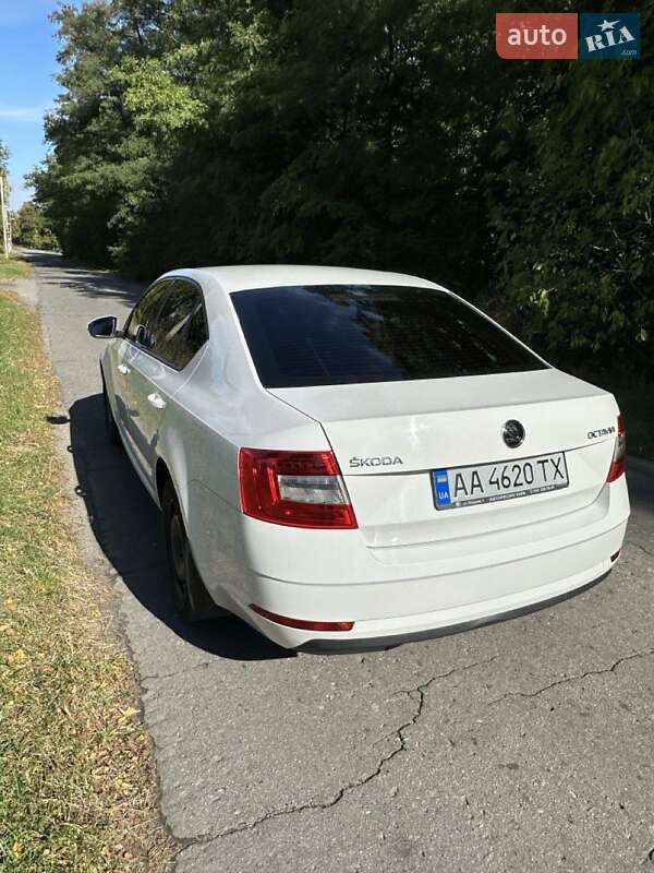 Лифтбек Skoda Octavia 2018 в Гадяче фото 9 Лифтбек Skoda Octavia 2018 в Гадяче