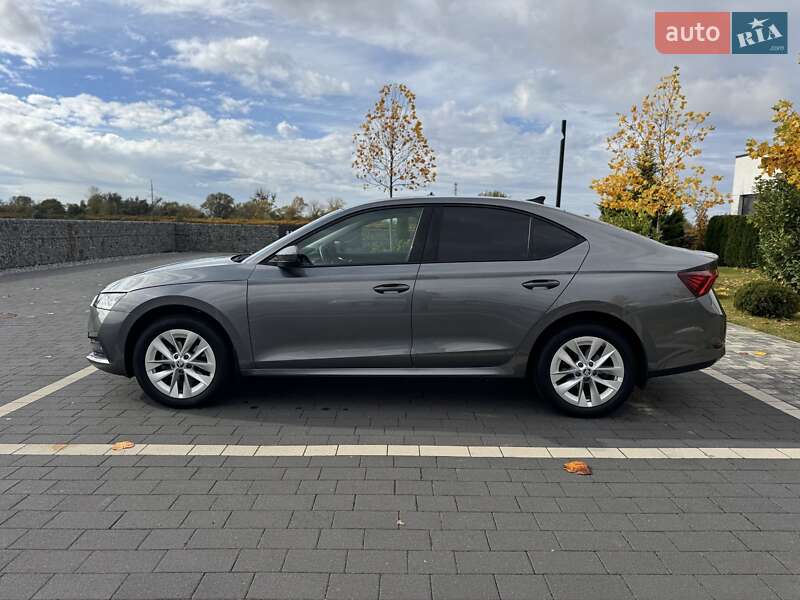 Лифтбек Skoda Octavia 2023 в Мукачево фото 12 Лифтбек Skoda Octavia 2023 в Мукачево