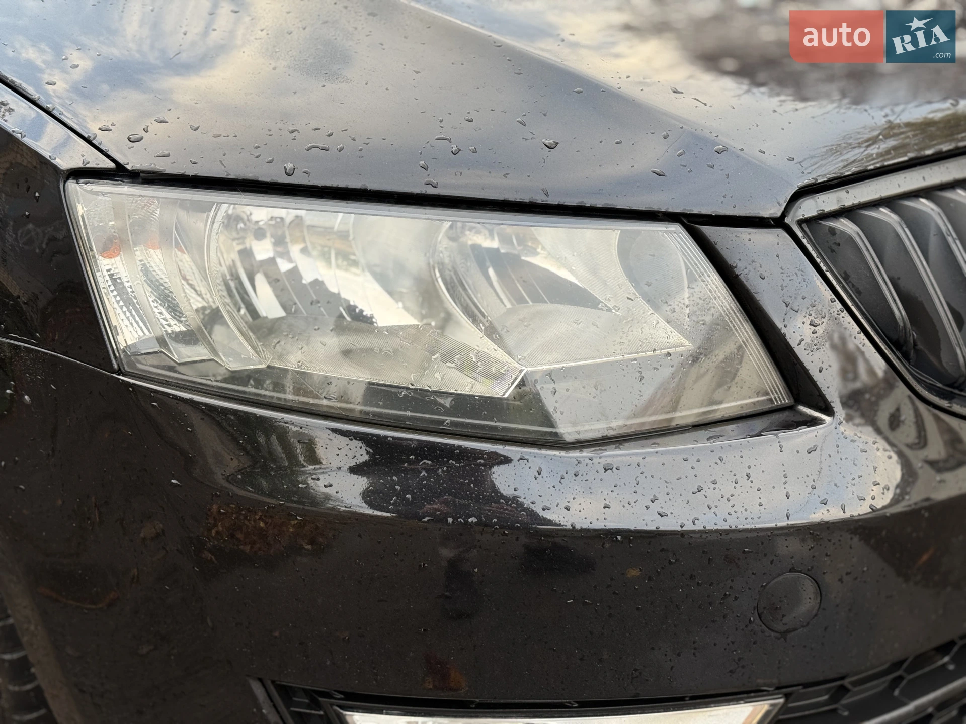 2015 Skoda Octavia - мініатюра 14