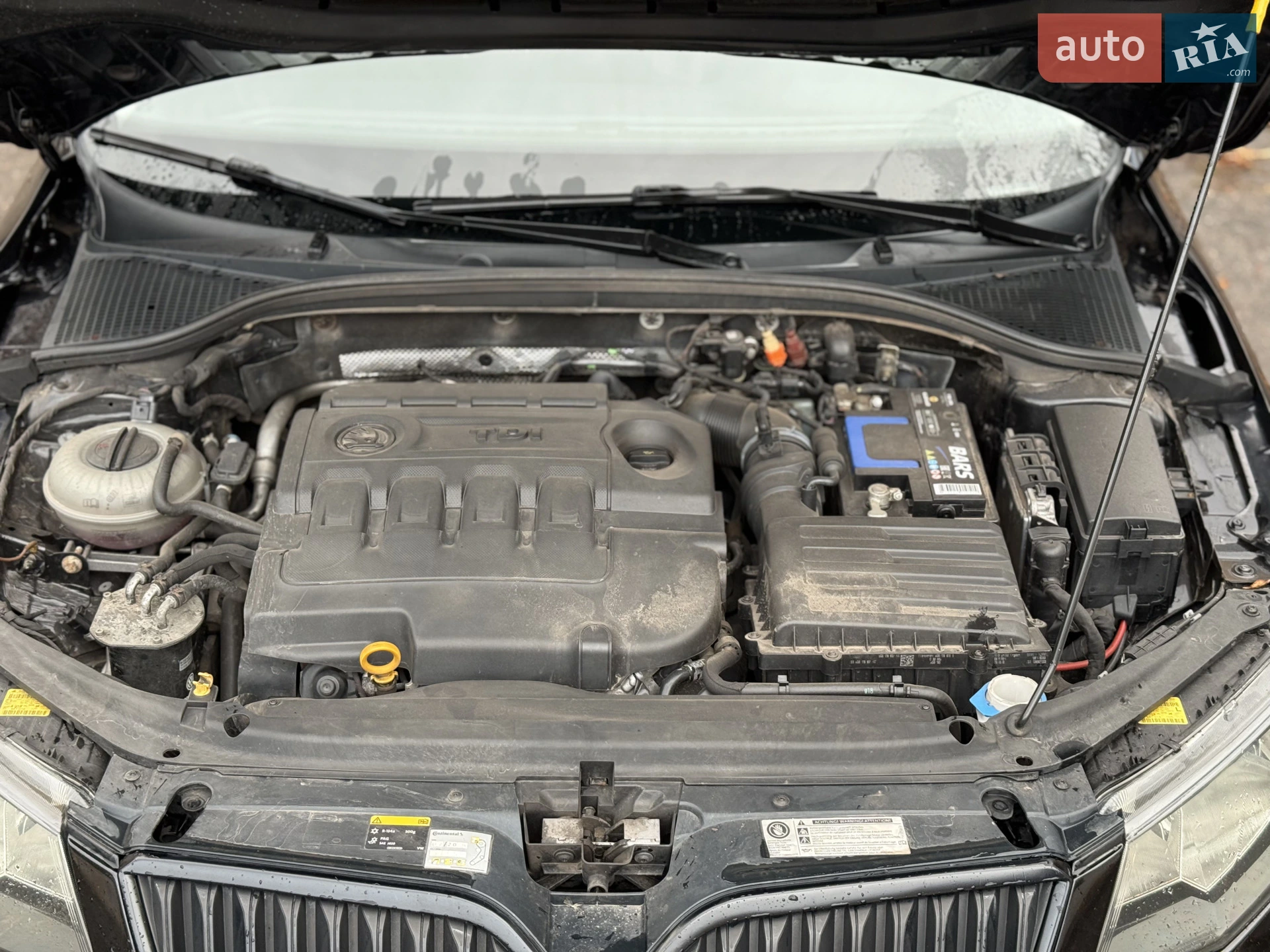 2015 Skoda Octavia - мініатюра 25