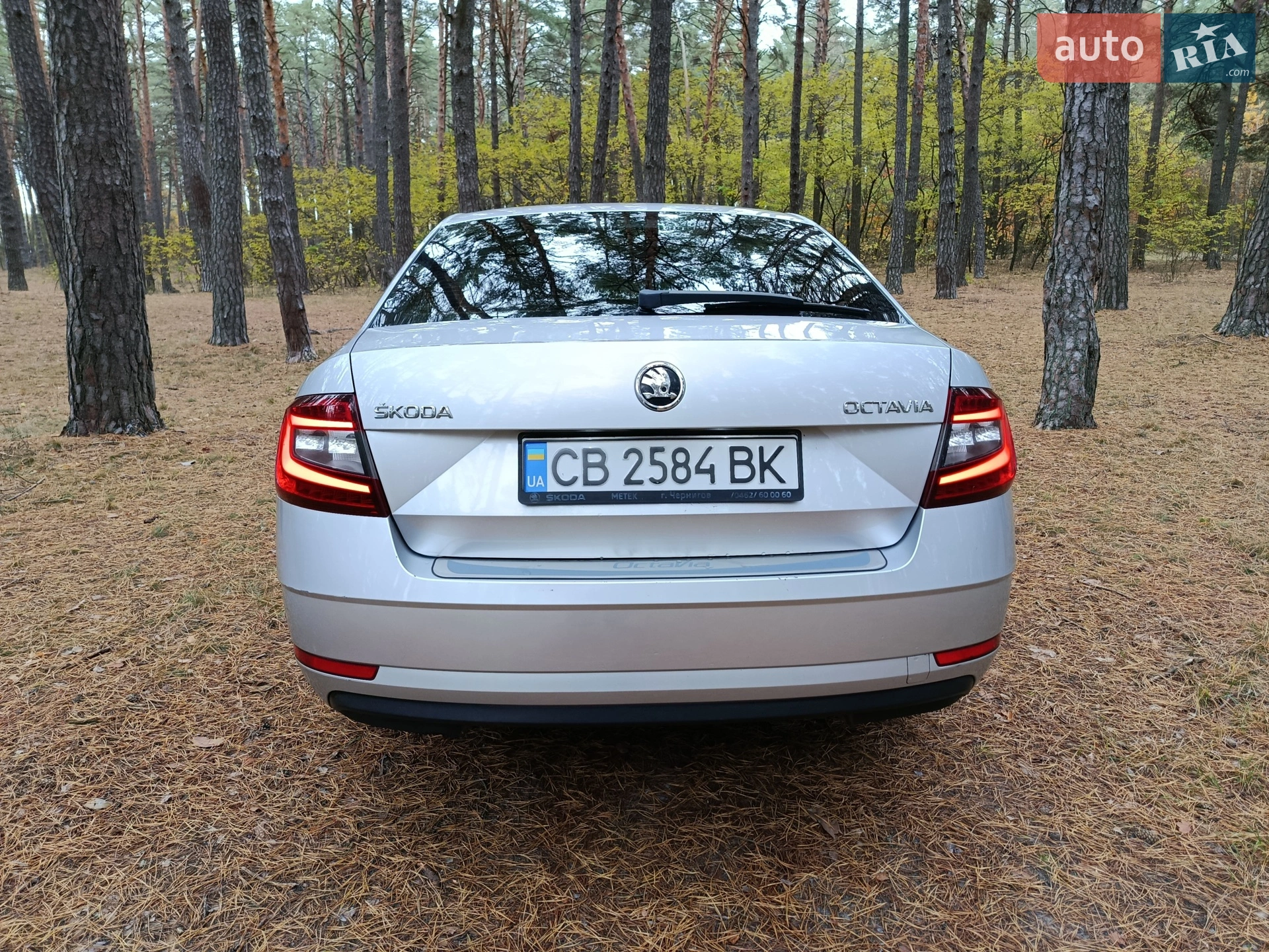 2017 Skoda Octavia - мініатюра 4