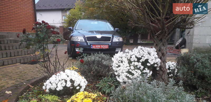 Универсал Skoda Octavia 2007 в Луцке фото 9 Универсал Skoda Octavia 2007 в Луцке