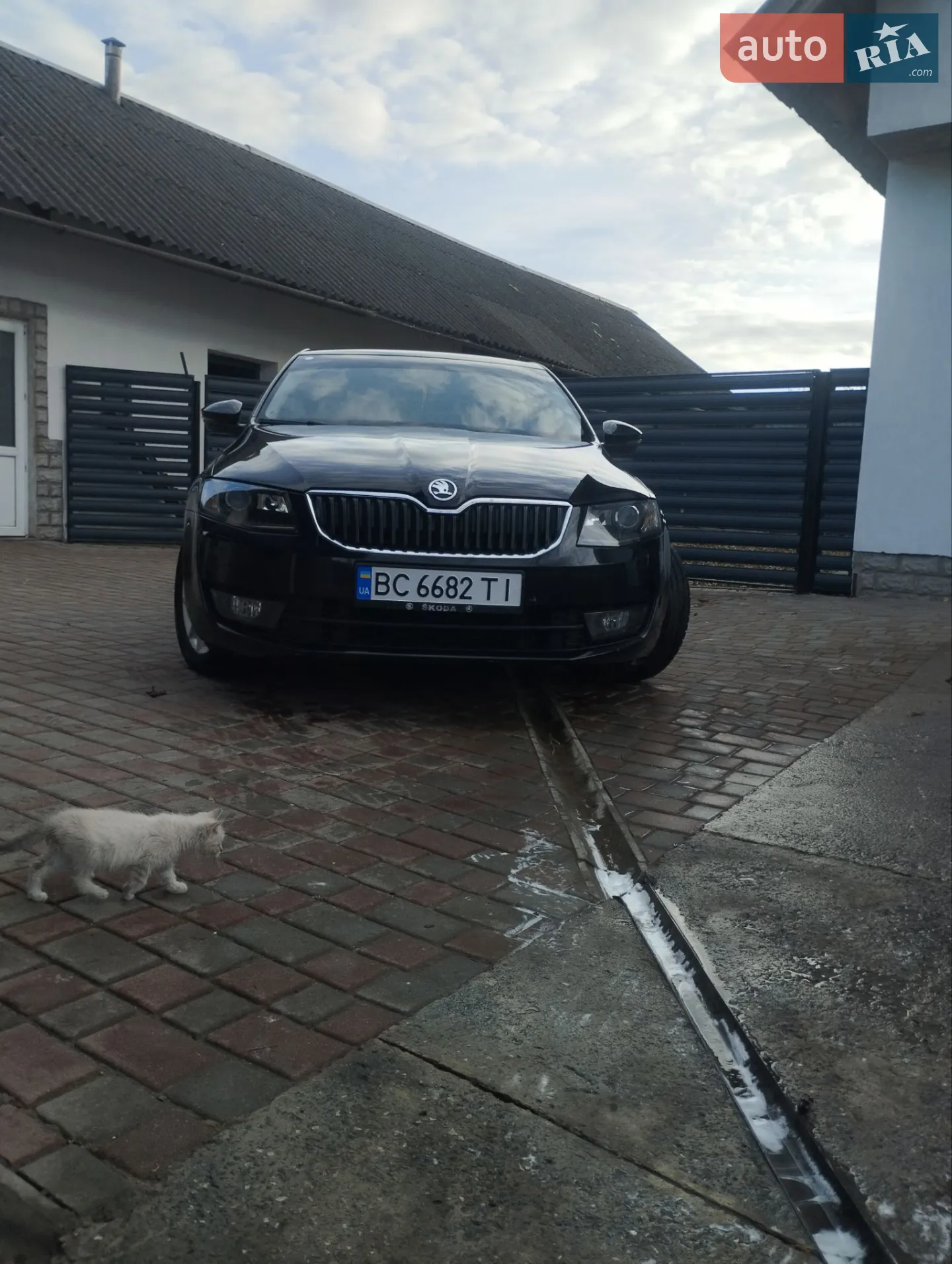 2016 Skoda Octavia - мініатюра 54