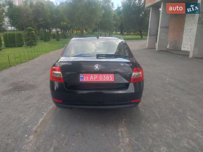 Лифтбек Skoda Octavia 2018 в Хмельницком фото 12 Лифтбек Skoda Octavia 2018 в Хмельницком