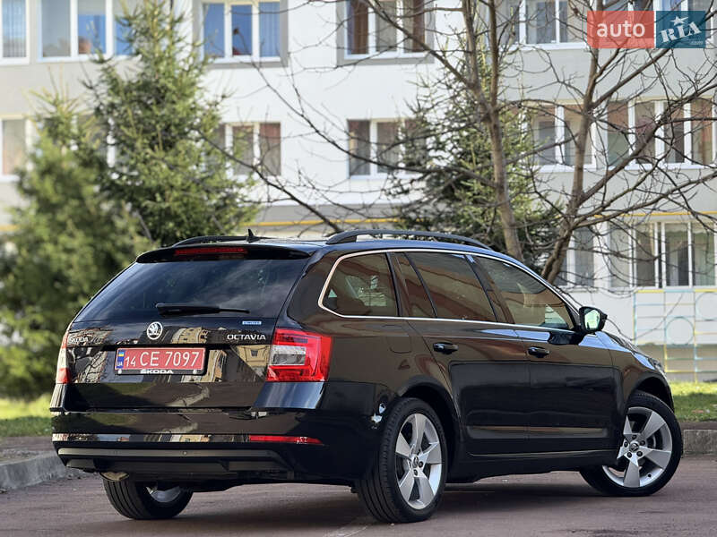 Универсал Skoda Octavia 2019 в Дрогобыче