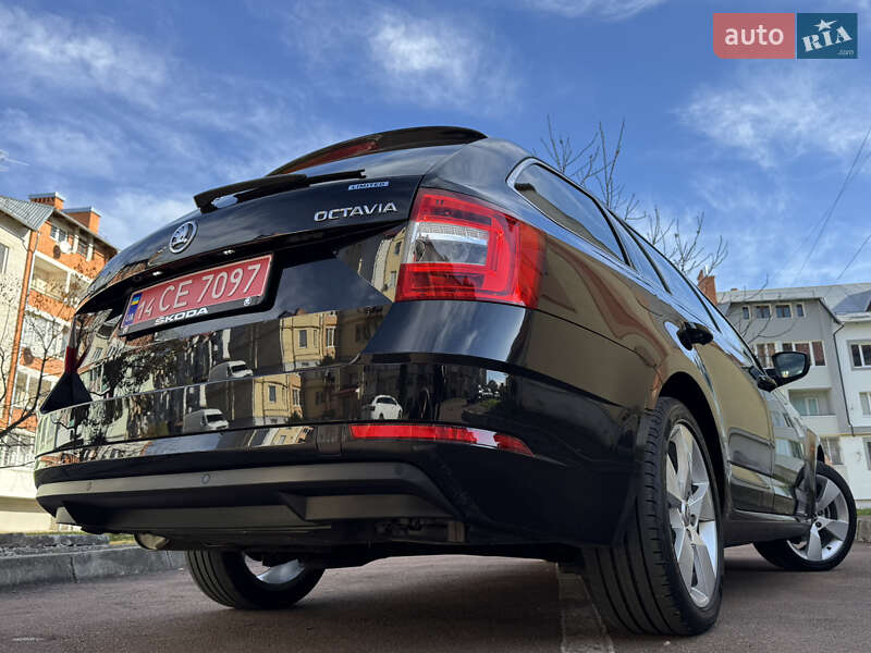 Универсал Skoda Octavia 2019 в Дрогобыче