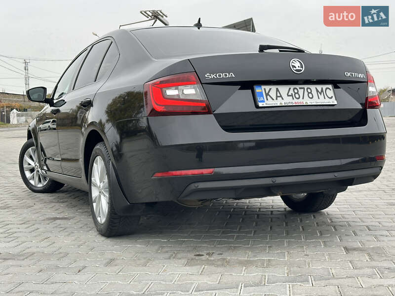 Лифтбек Skoda Octavia 2020 в Николаеве фото 15 Лифтбек Skoda Octavia 2020 в Николаеве