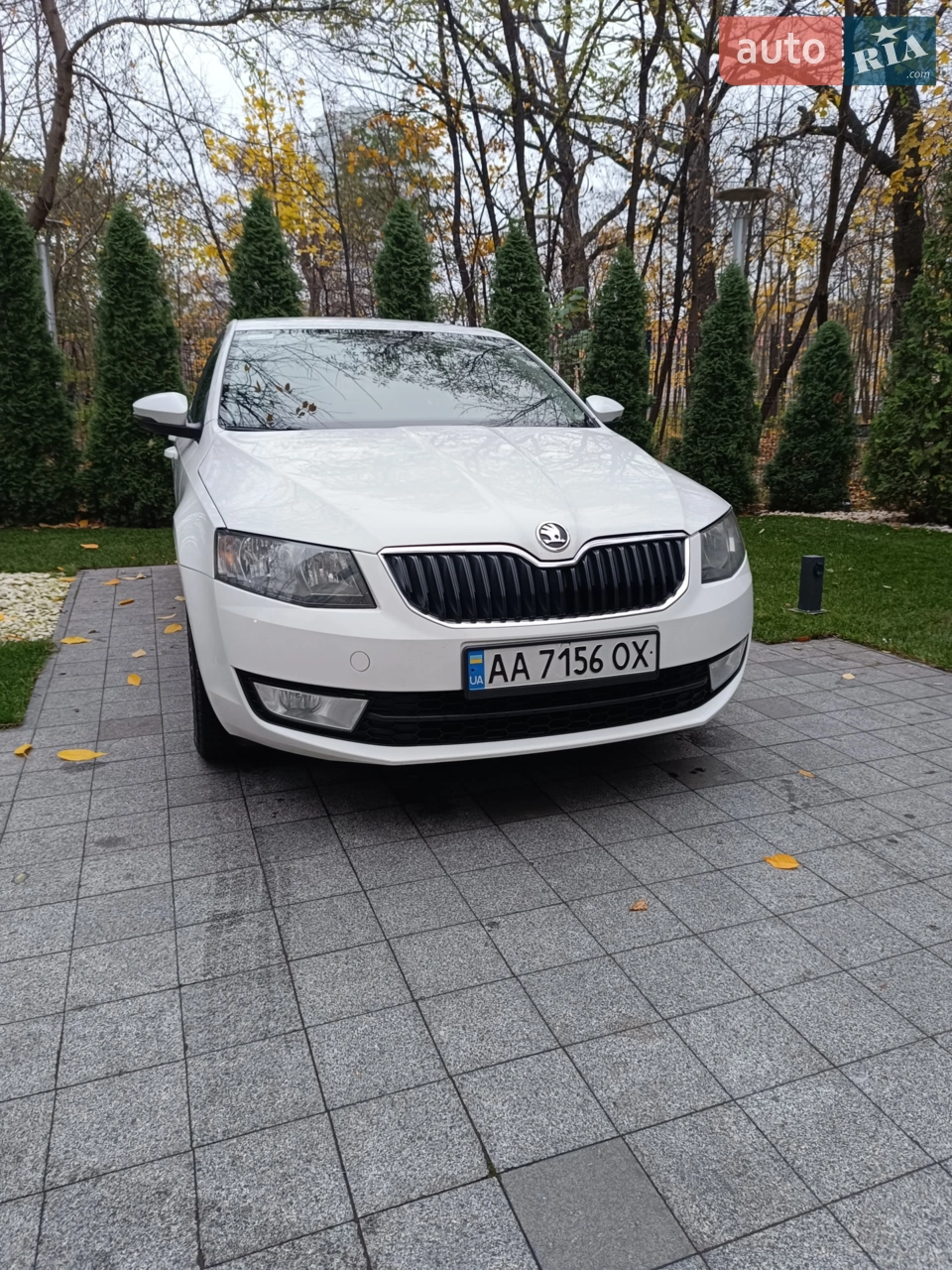 2014 Skoda Octavia - мініатюра 16