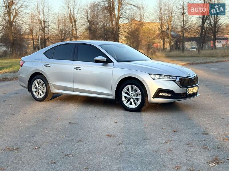 Лифтбек Skoda Octavia 2022 в Шостке фото 5 Лифтбек Skoda Octavia 2022 в Шостке