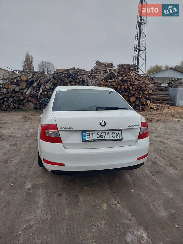 Лифтбек Skoda Octavia 2015 в Василькове