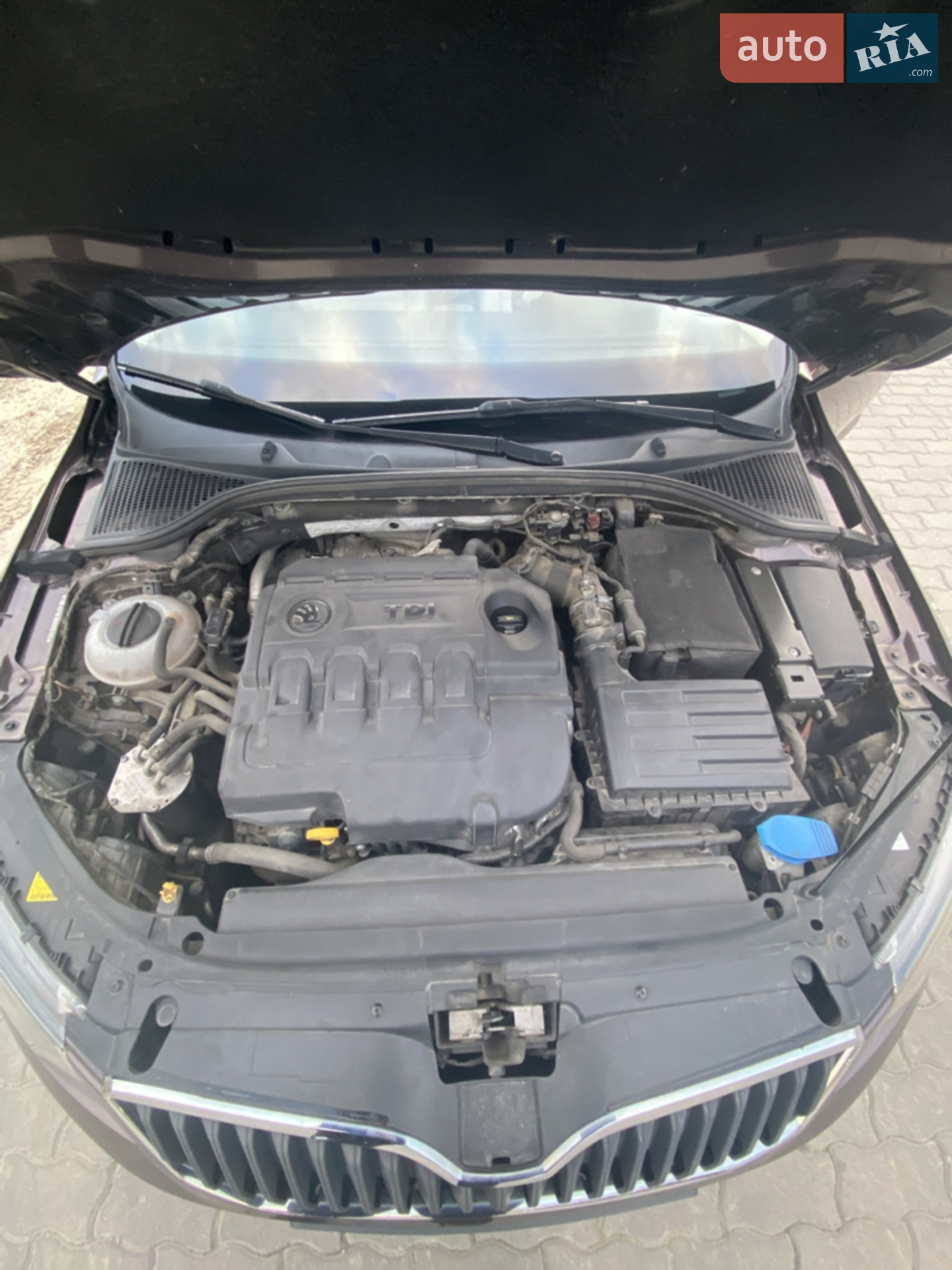 2016 Skoda Octavia - мініатюра 18