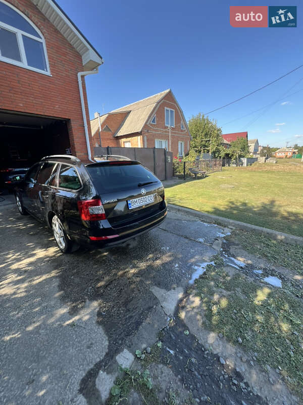 Универсал Skoda Octavia 2014 в Чернигове