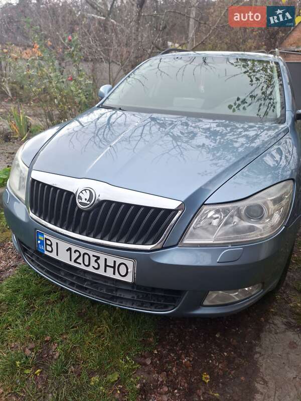 Универсал Skoda Octavia 2009 в Гадяче