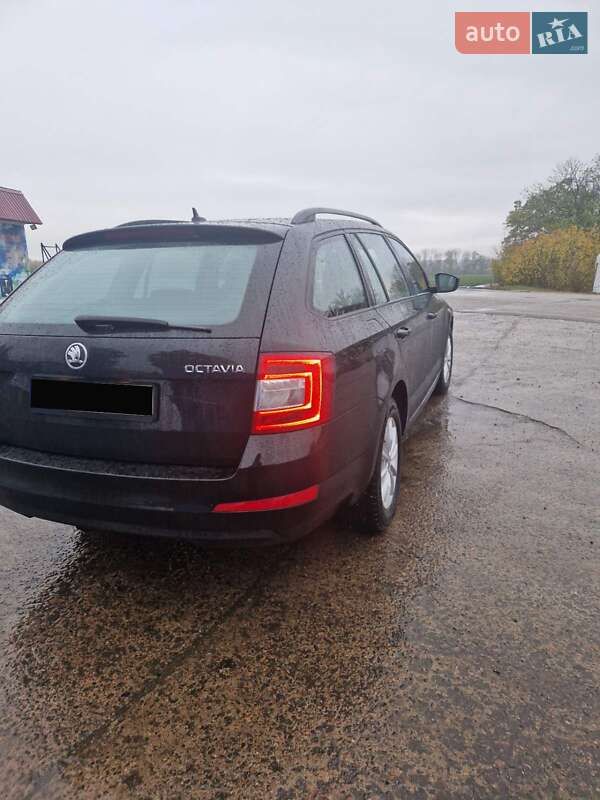 Универсал Skoda Octavia 2014 в Кропивницком