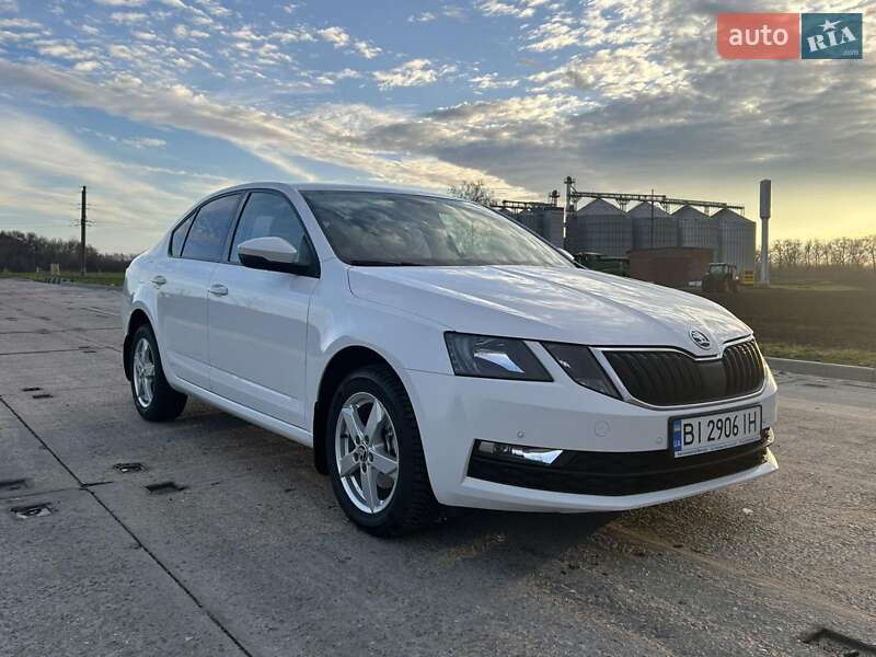 Ліфтбек Skoda Octavia 2019 в Полтаві фото 41 Ліфтбек Skoda Octavia 2019 в Полтаві