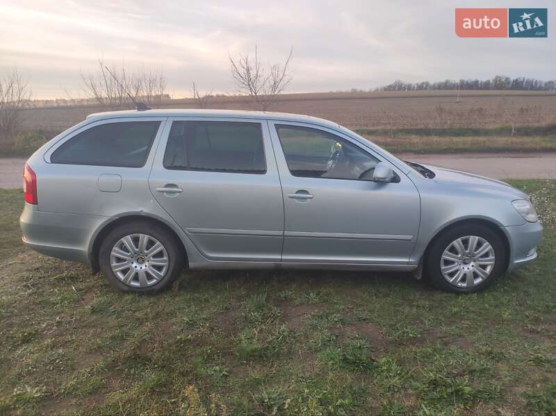 Универсал Skoda Octavia 2010 в Чигирине