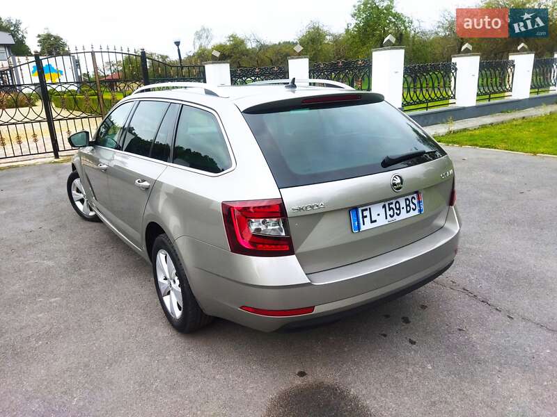 Универсал Skoda Octavia 2019 в Звягеле
