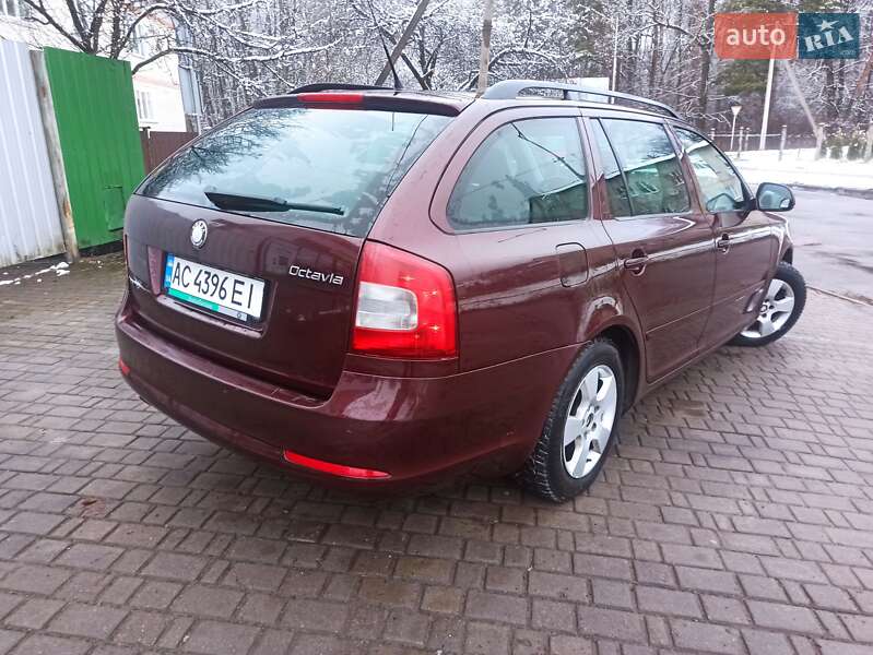 Універсал Skoda Octavia 2009 в Ківерцях