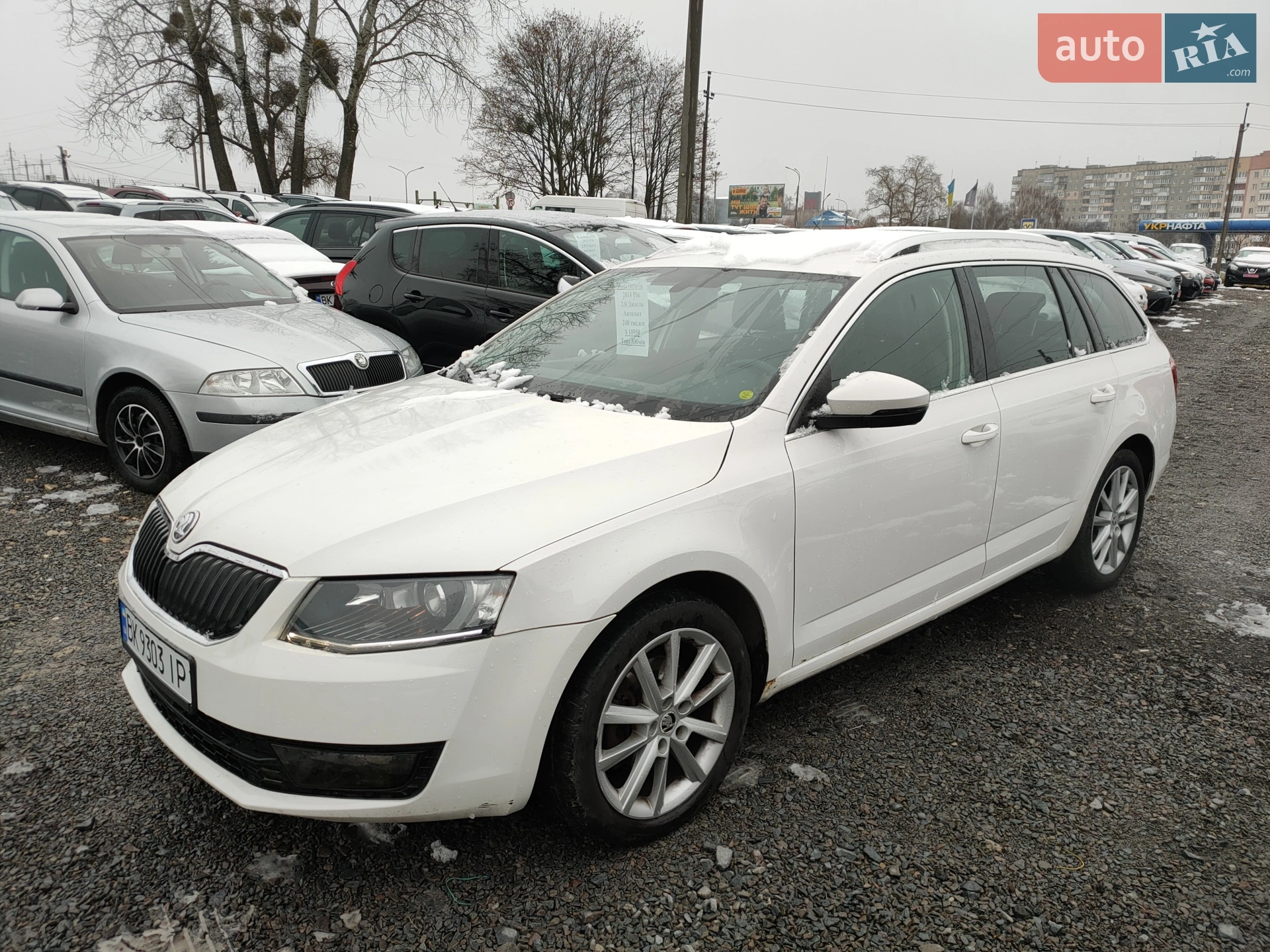 2014 Skoda Octavia - мініатюра 23