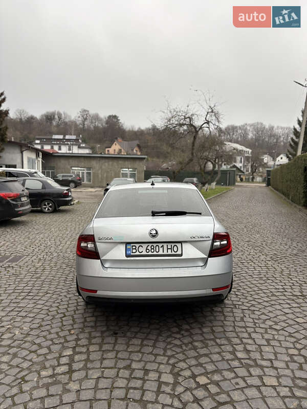 Лифтбек Skoda Octavia 2019 в Львове