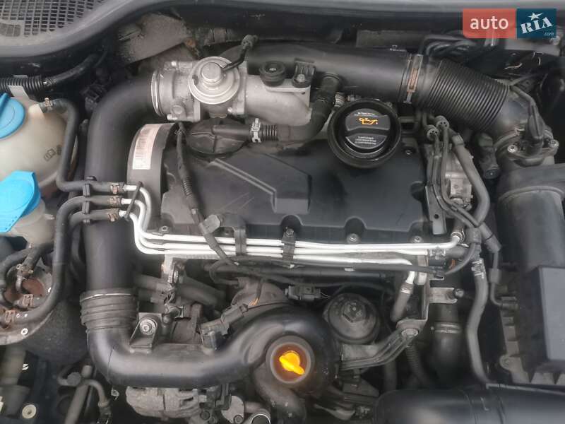 Универсал Skoda Octavia 2009 в Любомле