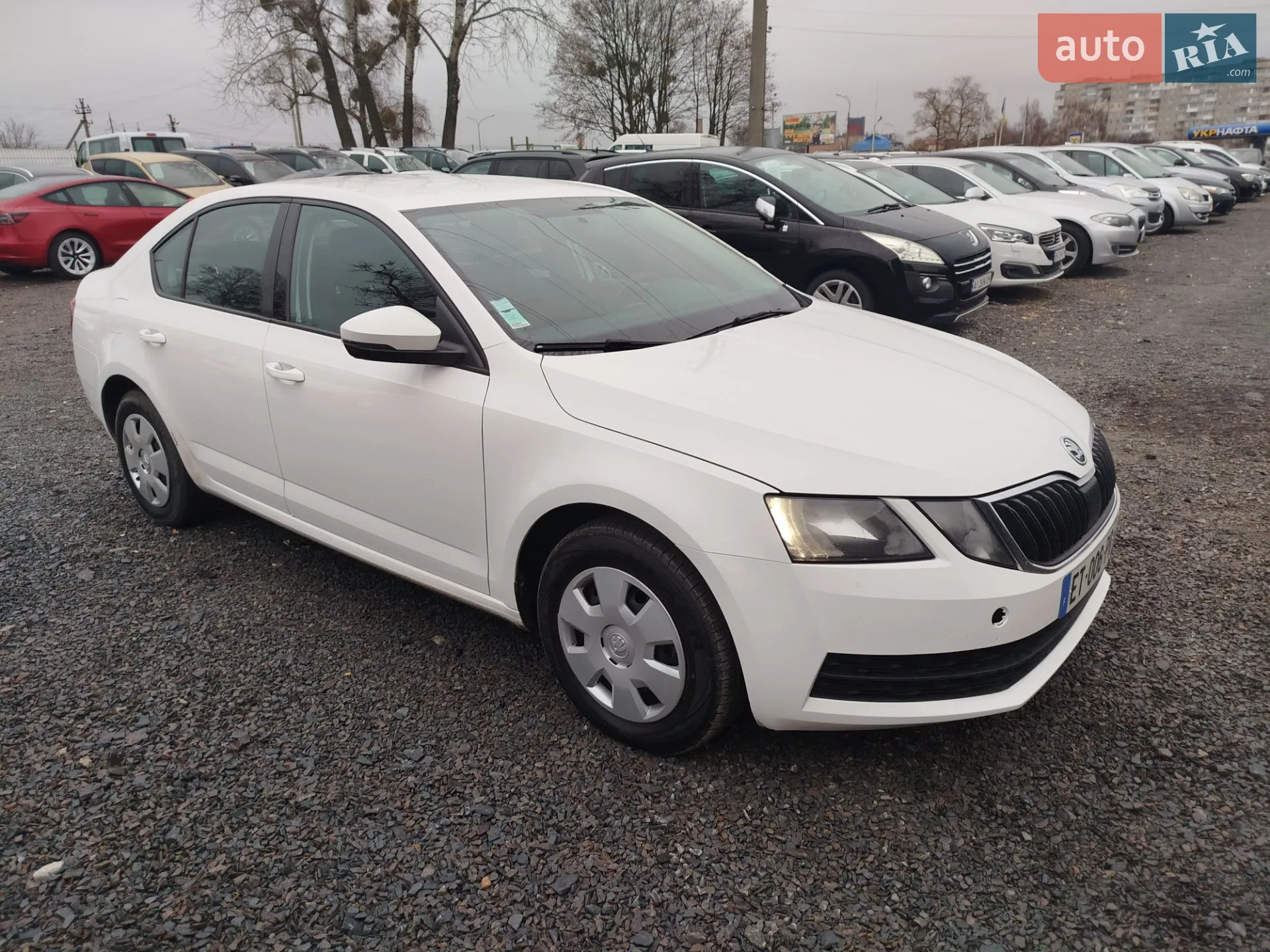 2018 Skoda Octavia - мініатюра 28