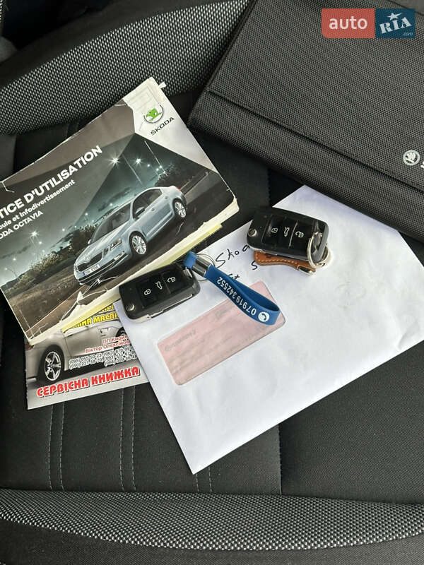 Універсал Skoda Octavia 2019 в Дубні