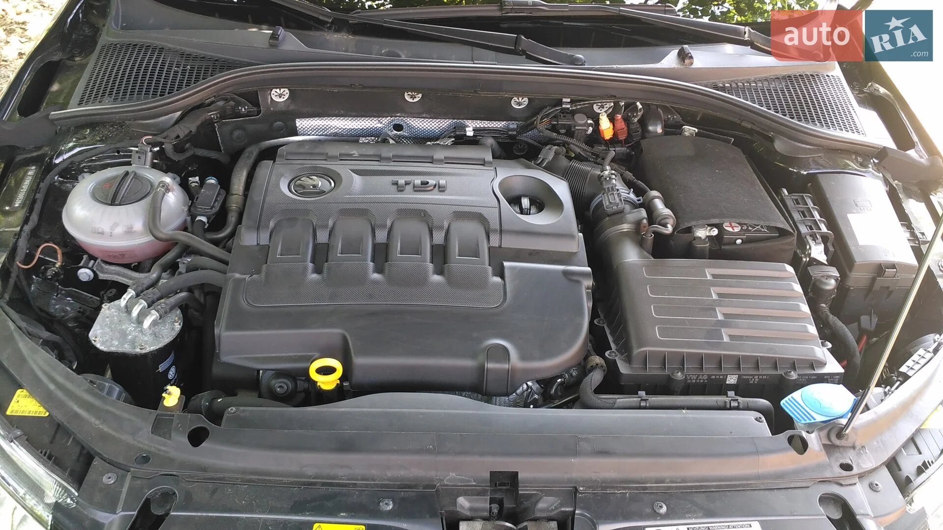 2014 Skoda Octavia - мініатюра 13