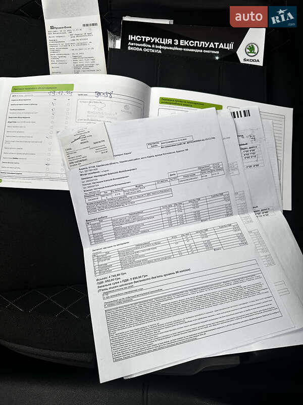 Лифтбек Skoda Octavia 2019 в Первомайске фото 25 Лифтбек Skoda Octavia 2019 в Первомайске