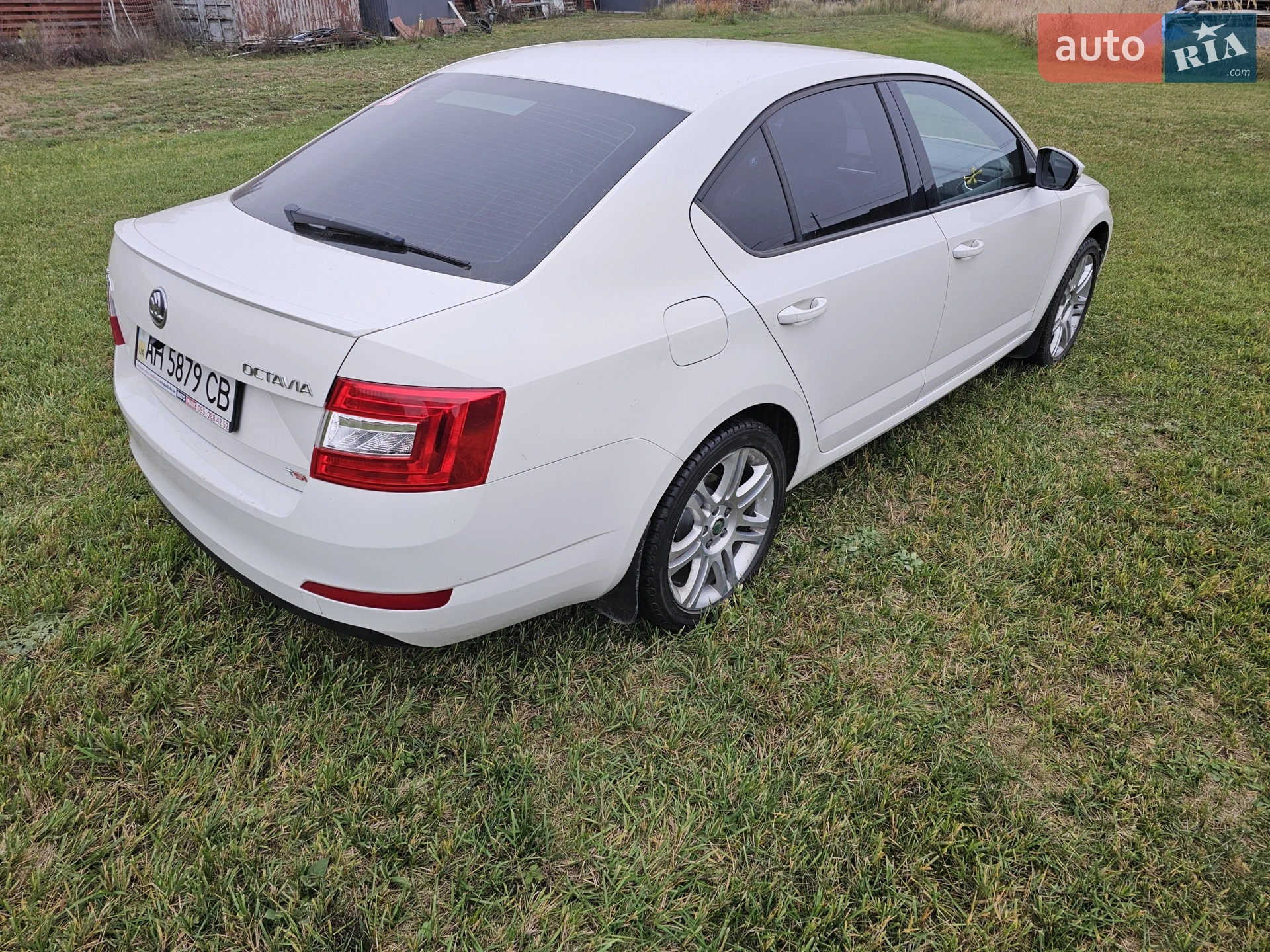 2013 Skoda Octavia - мініатюра 2