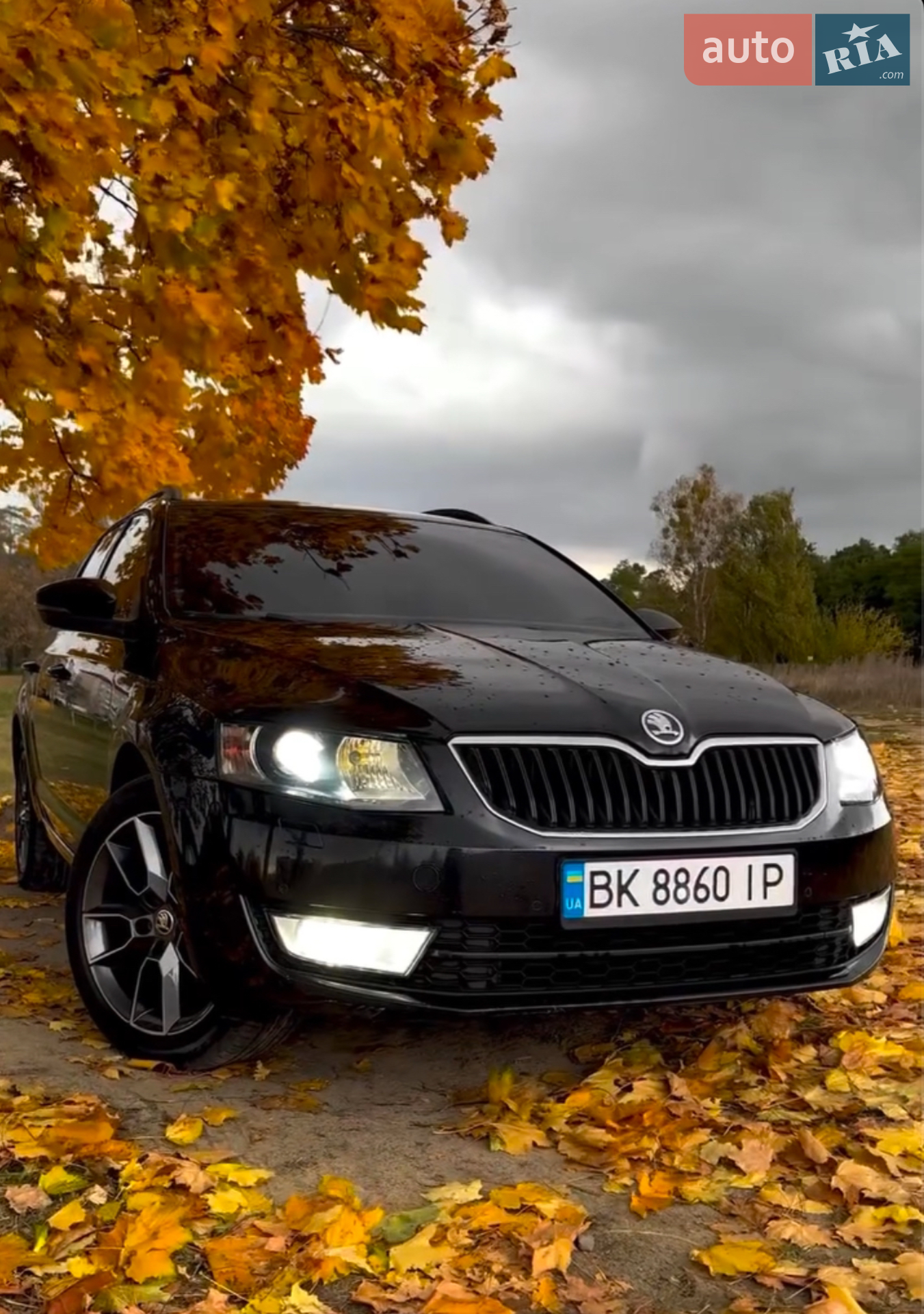 2013 Skoda Octavia - мініатюра 2