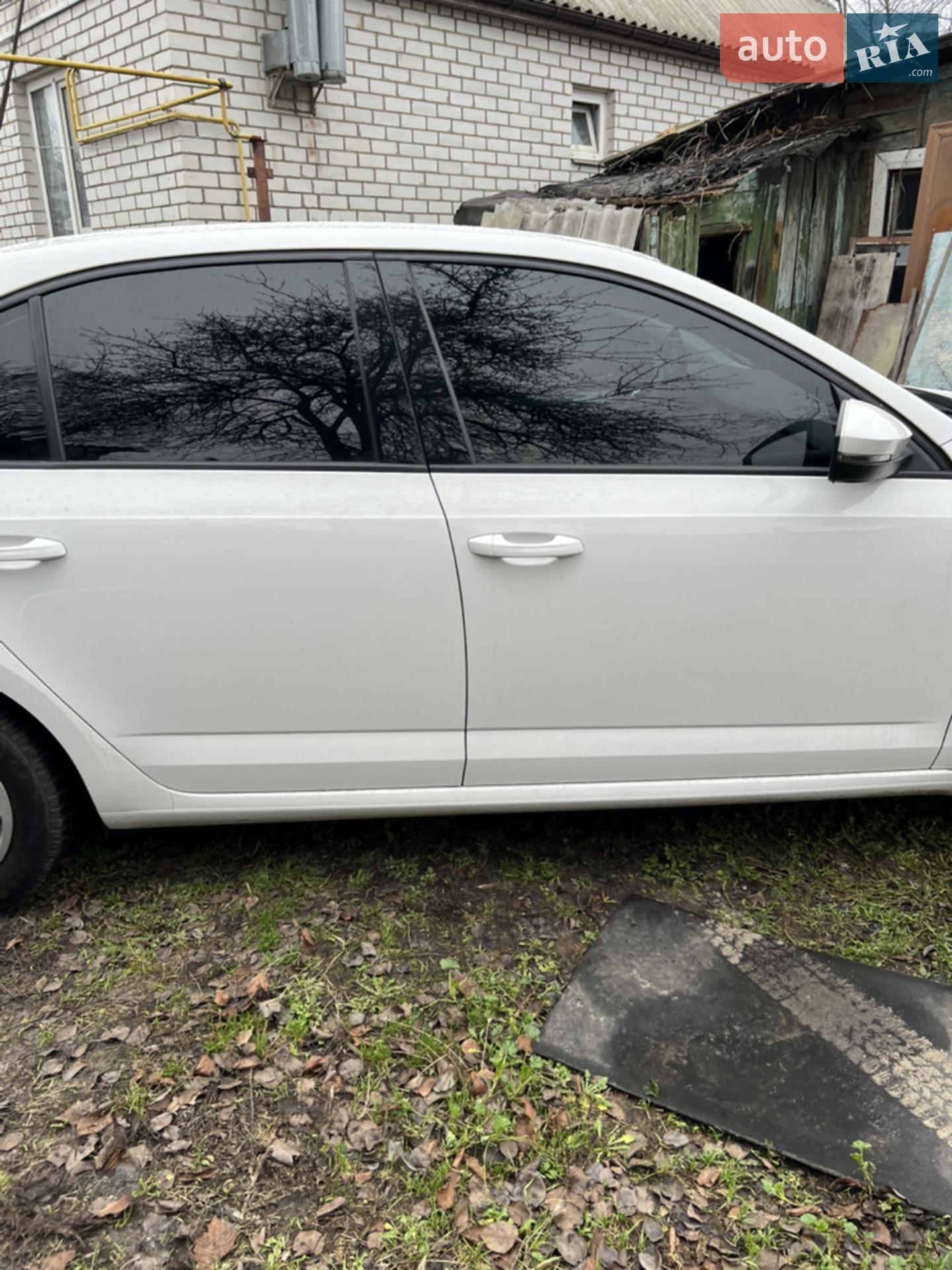 2019 Skoda Octavia - мініатюра 6