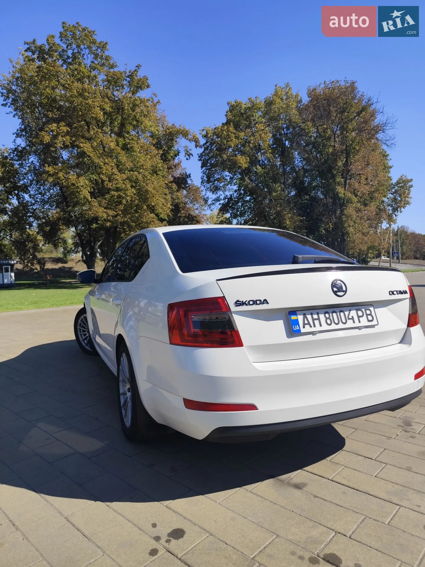 2016 Skoda Octavia - мініатюра 8