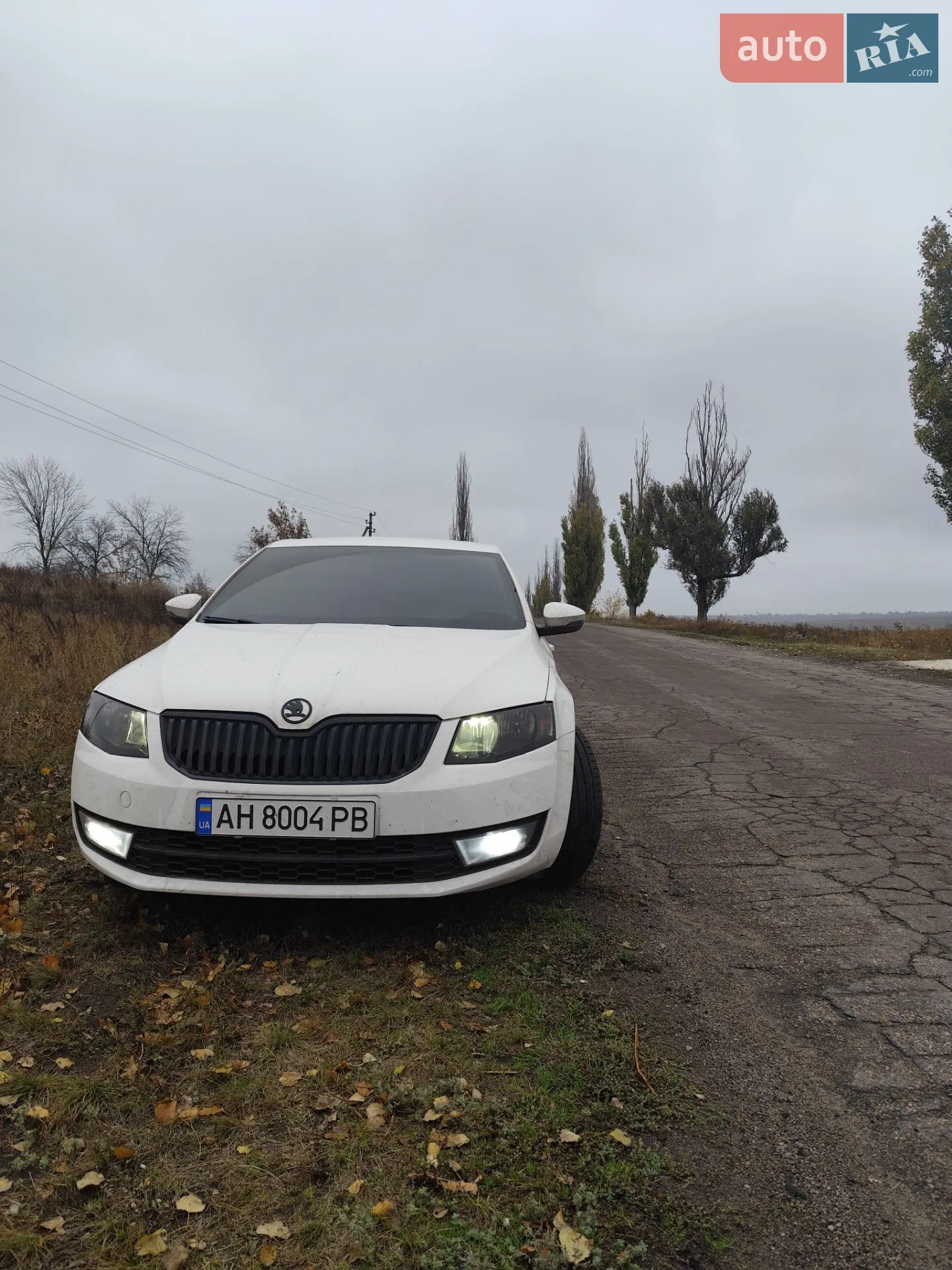 2016 Skoda Octavia - мініатюра 9