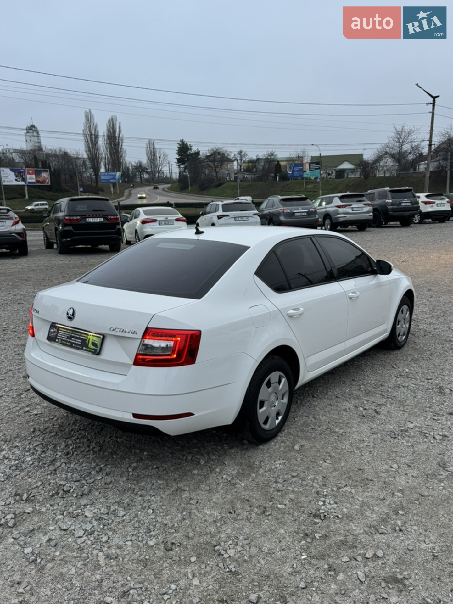 2019 Skoda Octavia - мініатюра 8
