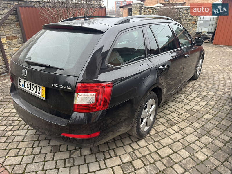 Універсал Skoda Octavia 2015 в Кам'янець-Подільському