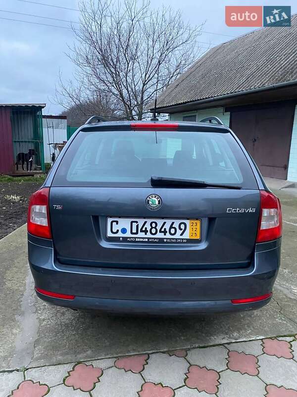 Универсал Skoda Octavia 2009 в Черкассах