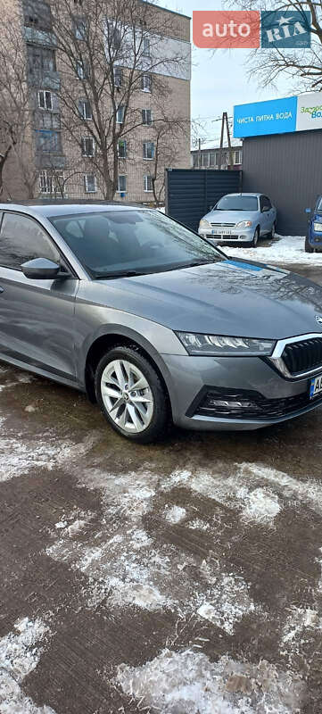 Лифтбек Skoda Octavia 2023 в Пятихатках фото Лифтбек Skoda Octavia 2023 в Пятихатках