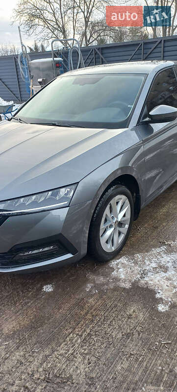 Лифтбек Skoda Octavia 2023 в Пятихатках фото 8 Лифтбек Skoda Octavia 2023 в Пятихатках